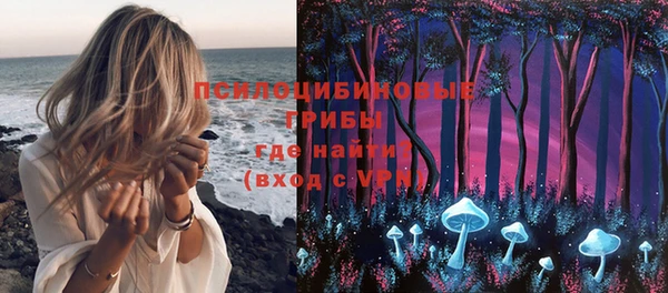 мет Гусев